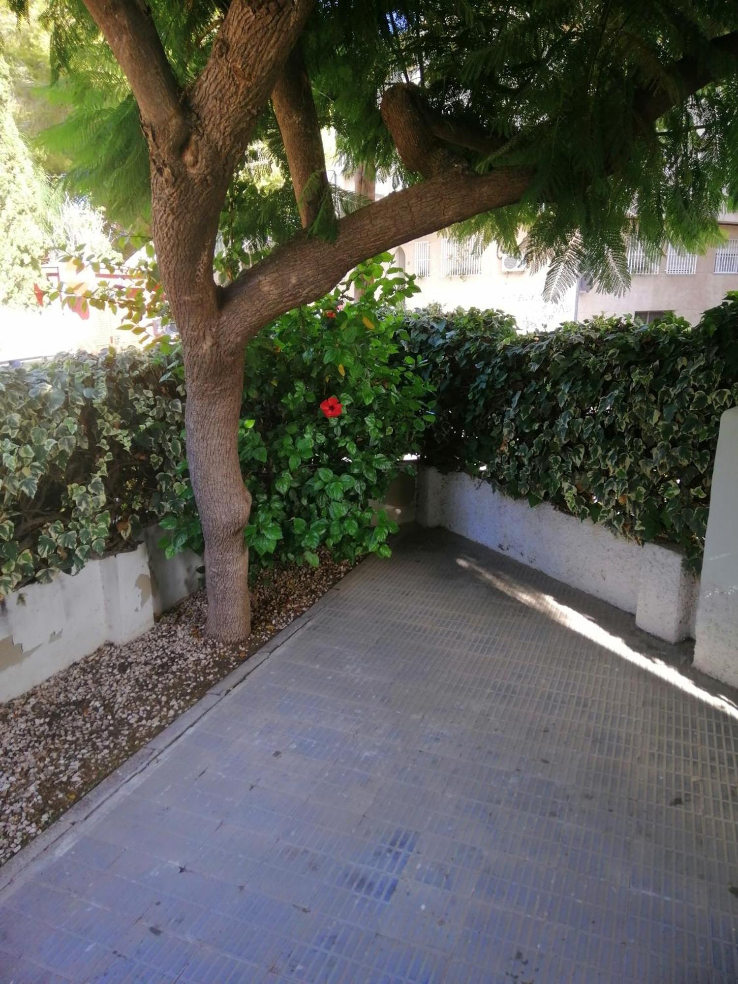 Chalet II Con Jardin Y Wifi En La Playa سان بيذرو ذيل بيناتا المظهر الخارجي الصورة